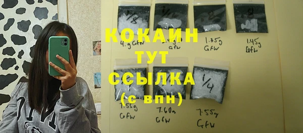 крисы Магас