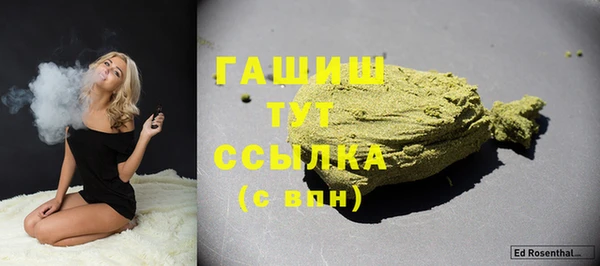 крисы Магас