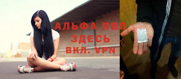 крисы Магас