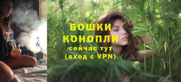 крисы Магас