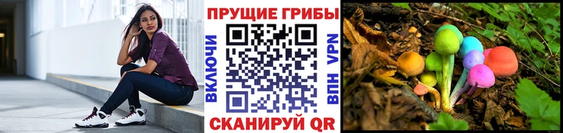 Псилоцибиновые грибы MAGIC MUSHROOMS Купить где Елизово